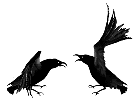 A gif of two crows.